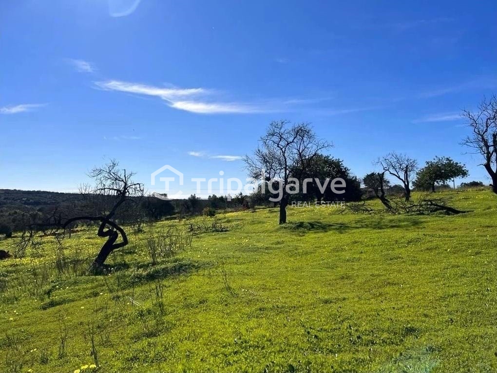 Plot / Land in Loulé, Central Algarve