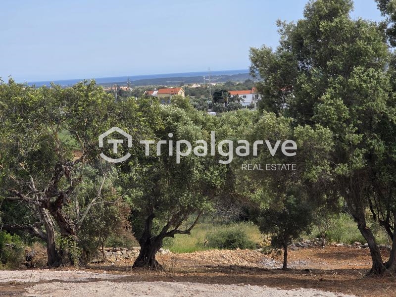 Plot / Land in Loulé, Central Algarve