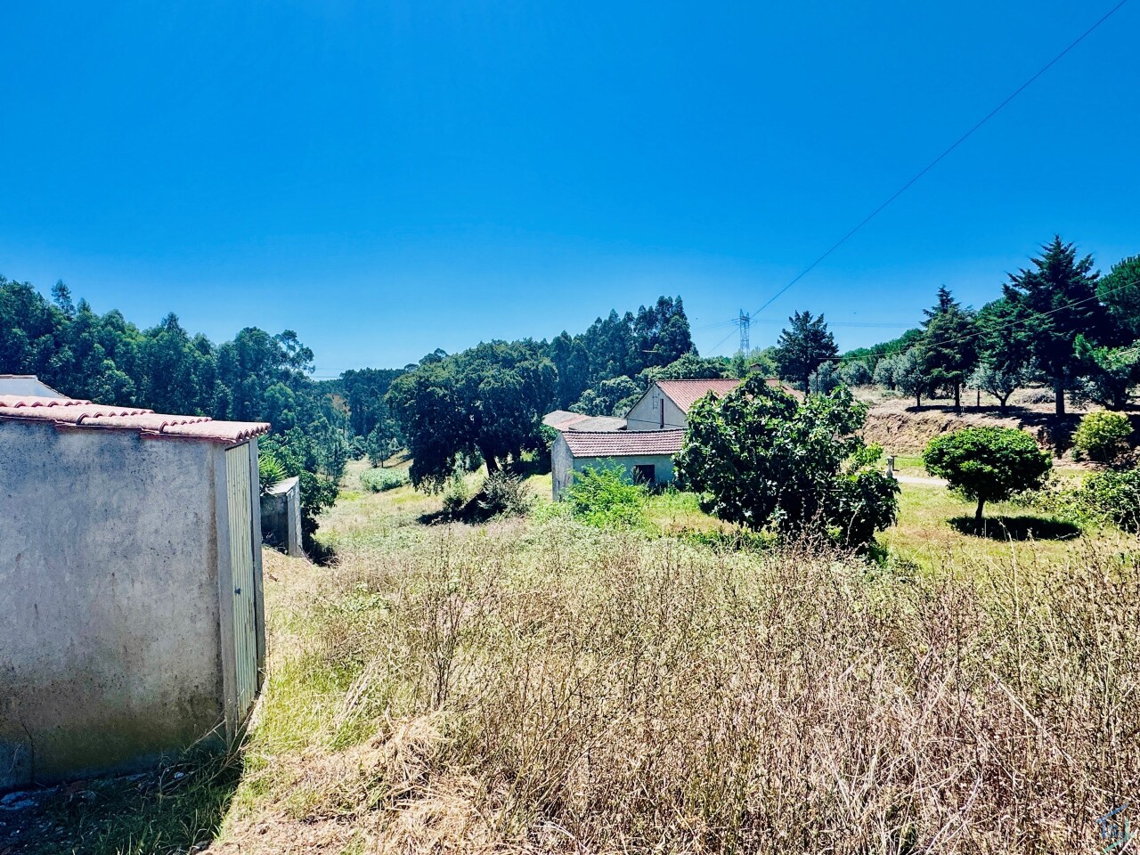 Plot / Land in Asseiceira, Tomar, Santarém