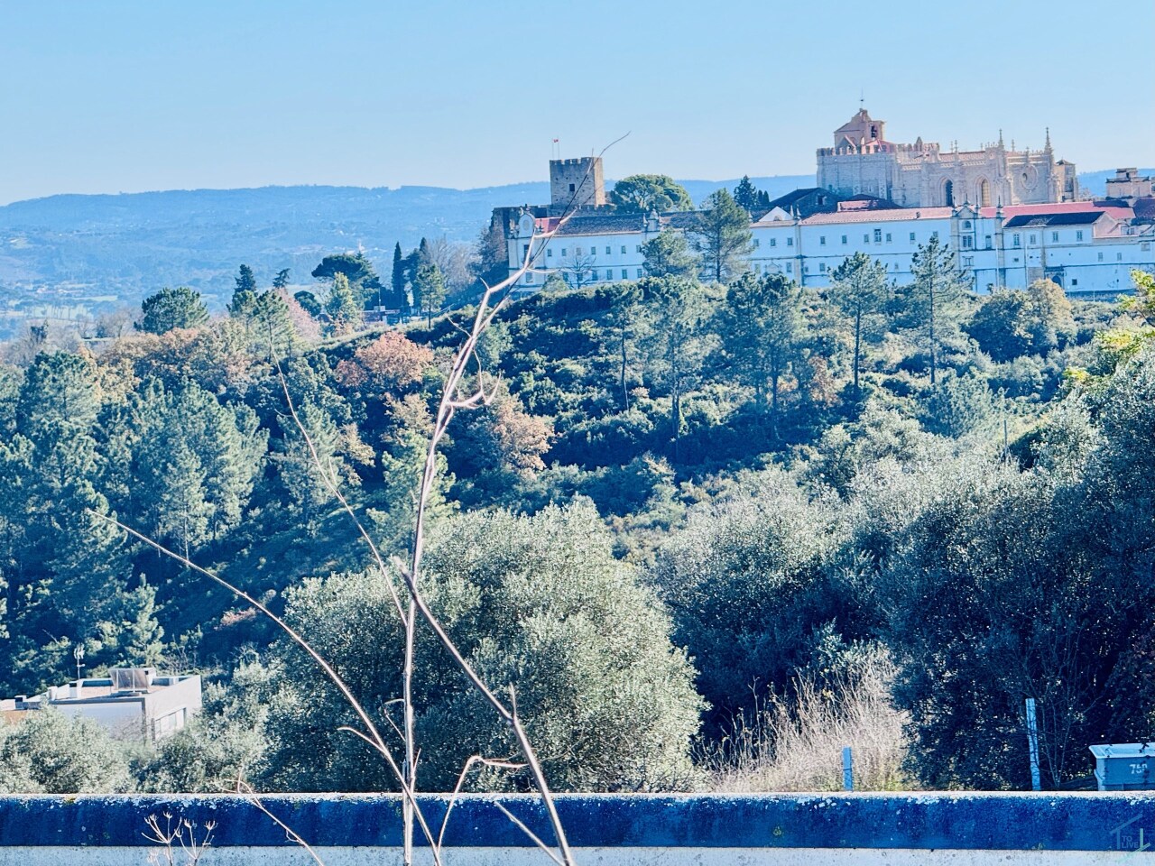 Perceel / Land in Tomar, Santarém