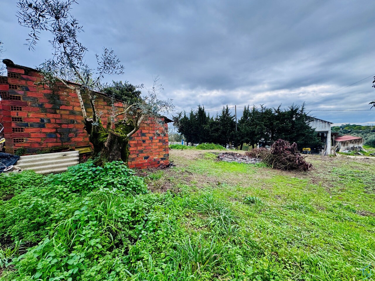 Plot / Land in Paialvo, Tomar, Santarém