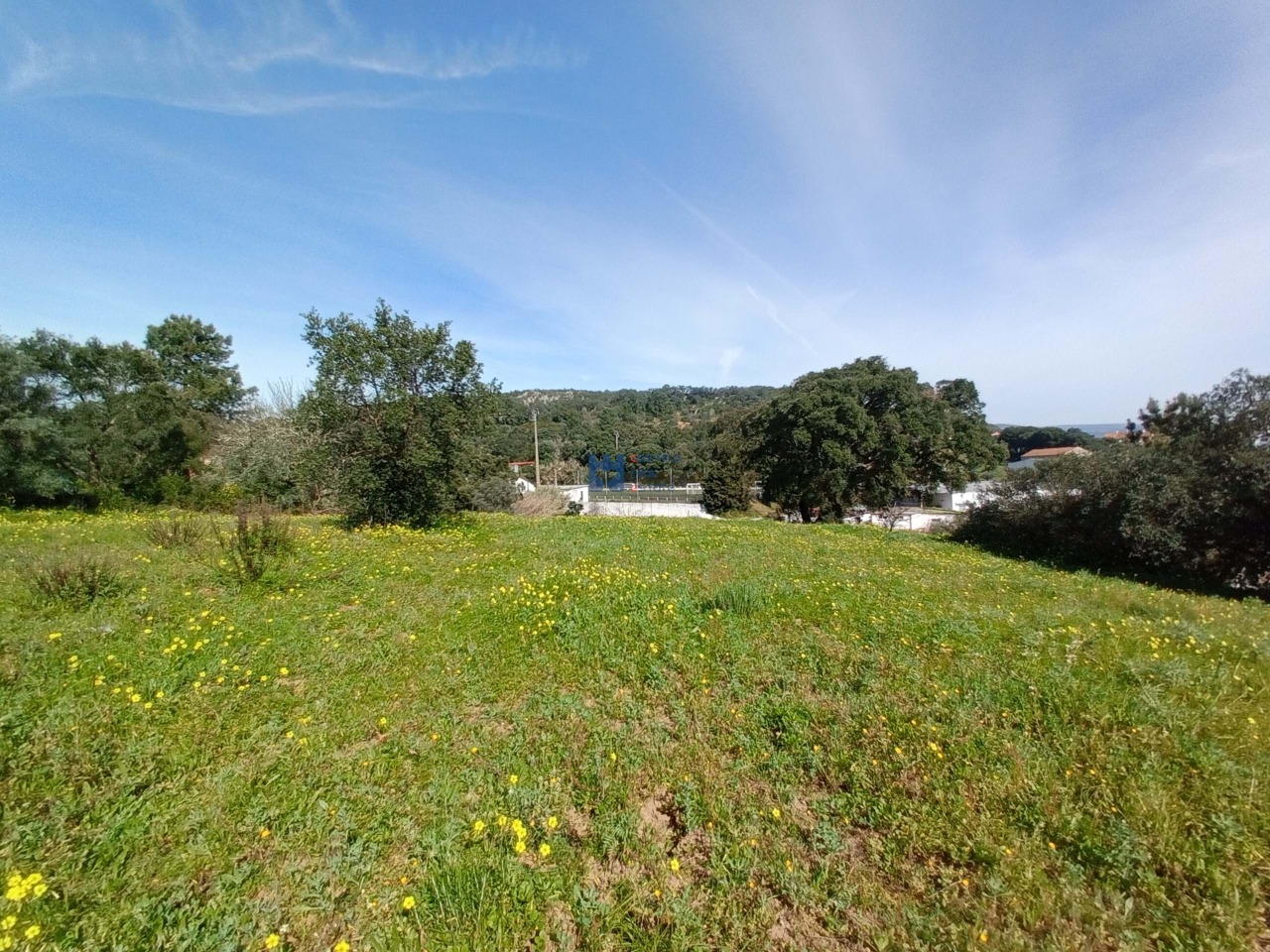 Trama / Terreno in Monsanto, Alcanena, Santarém