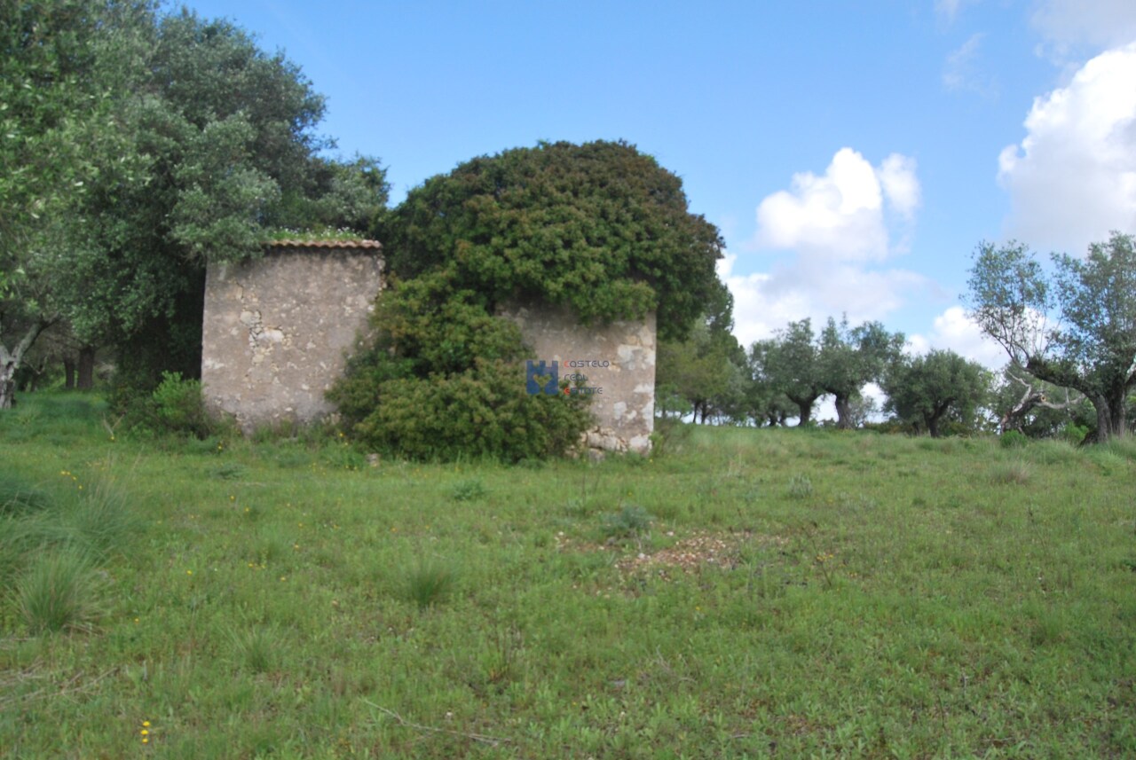 Trama / Terreno in Lapas, Torres Novas, Santarém