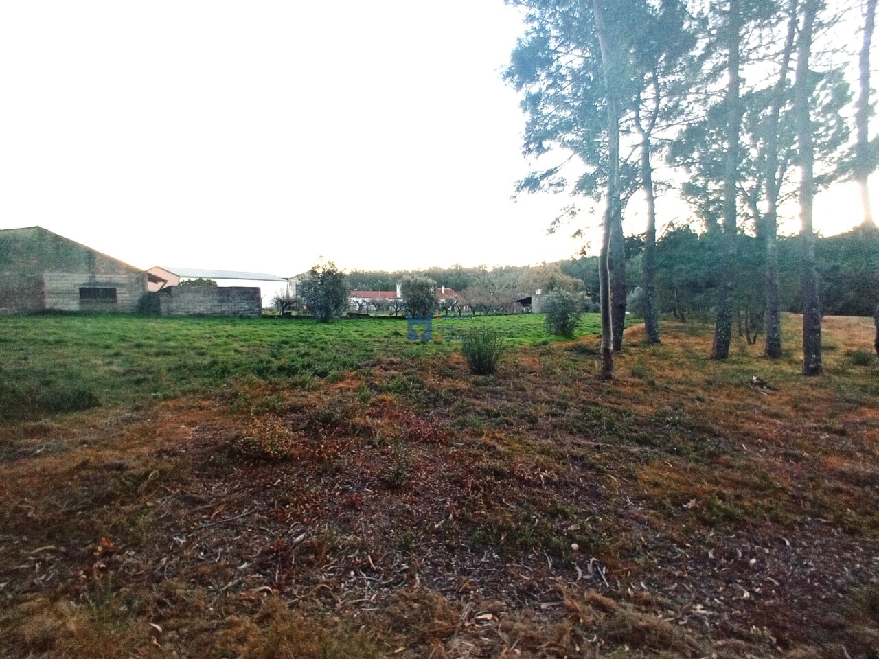 Trama / Terreno in Atouguia, Ourém, Santarém