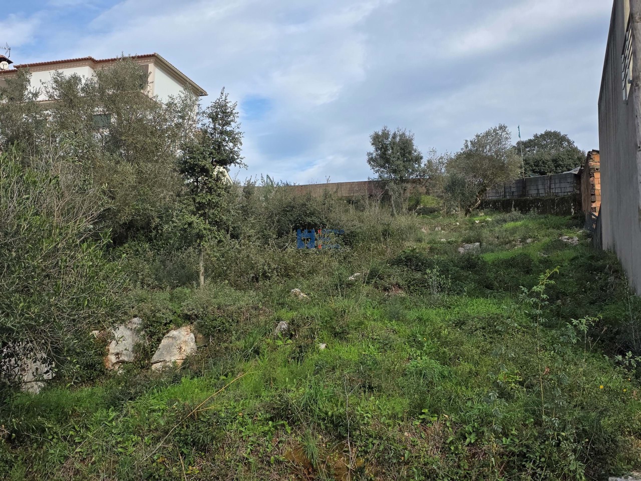 Trama / Terreno in Minde, Alcanena, Santarém