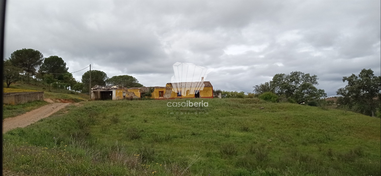 Farm in Silves, Western Algarve