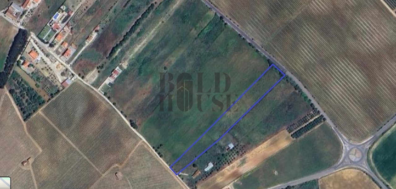 Plot / Land in Cartaxo, Santarém