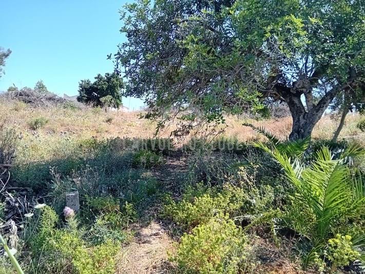 Plot / Land in Carvoeiro, Lagoa, Western Algarve