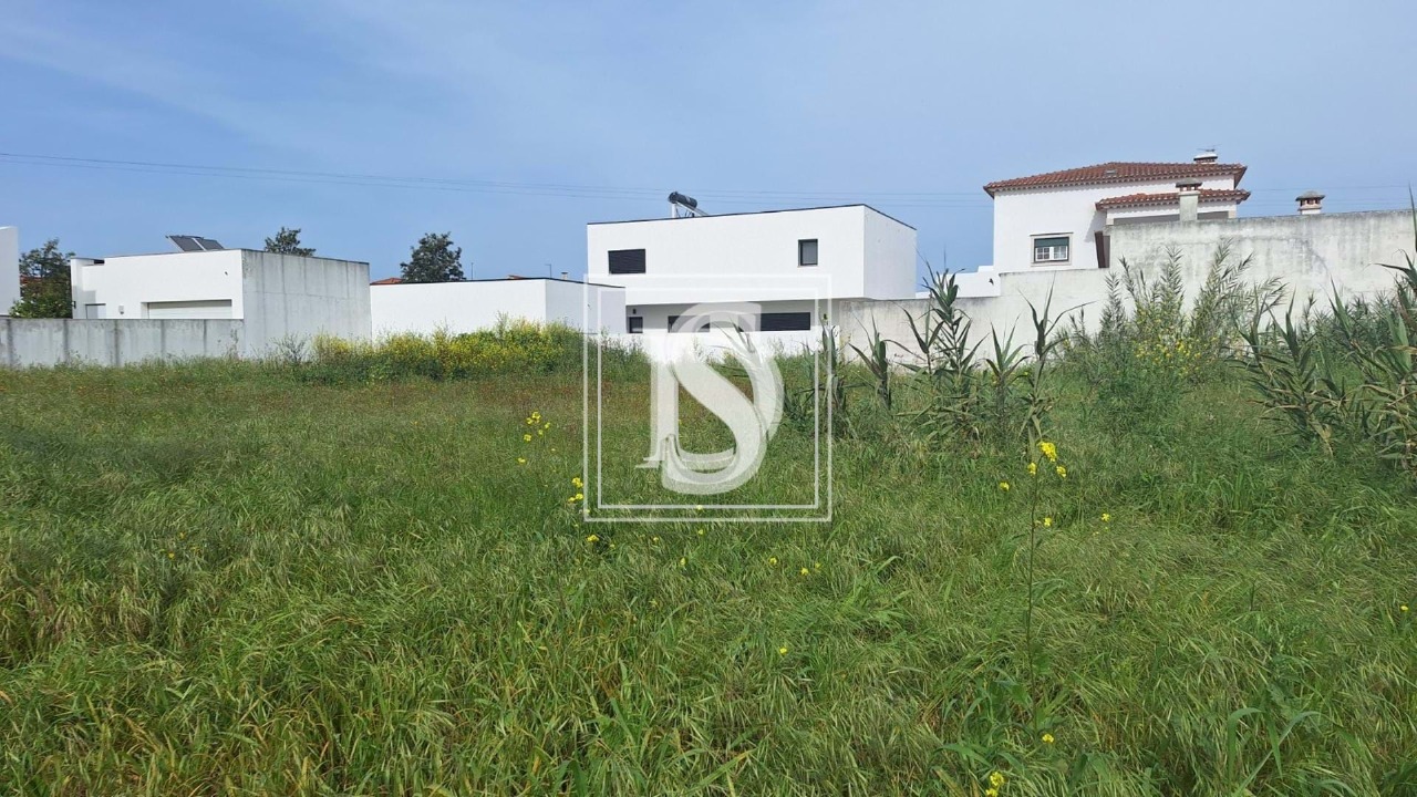 Plot / Land in Riachos, Torres Novas, Santarém