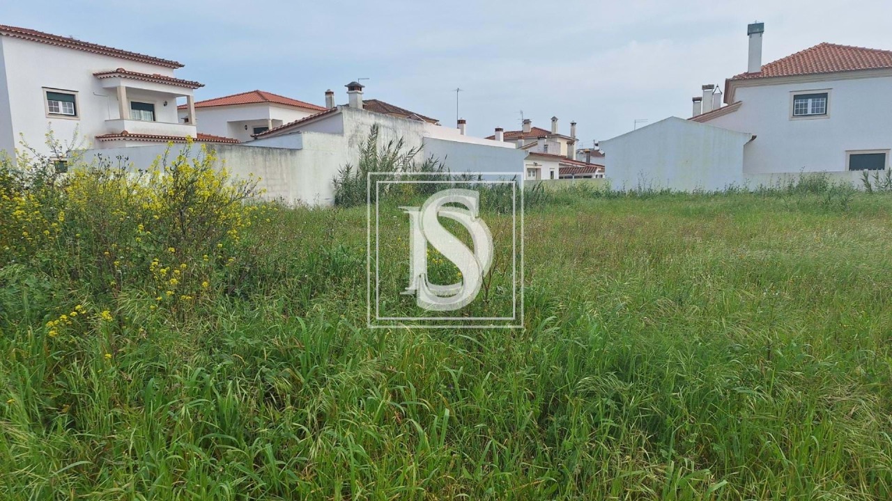 Plot / Land in Riachos, Torres Novas, Santarém
