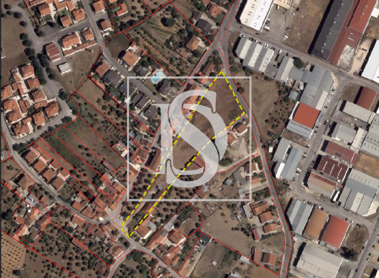 Plot / Land in Riachos, Torres Novas, Santarém