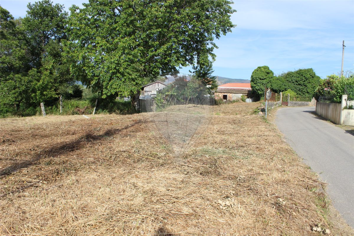 Perceel / Land in Valença, Viana do Castelo