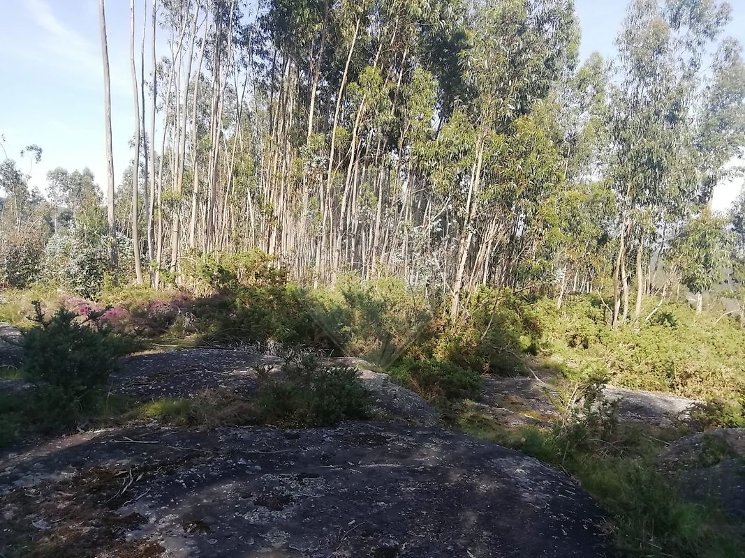 Plot / Land in Guimarães, Braga