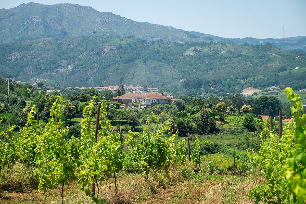 Farm in Cabeceiras de Basto, Braga