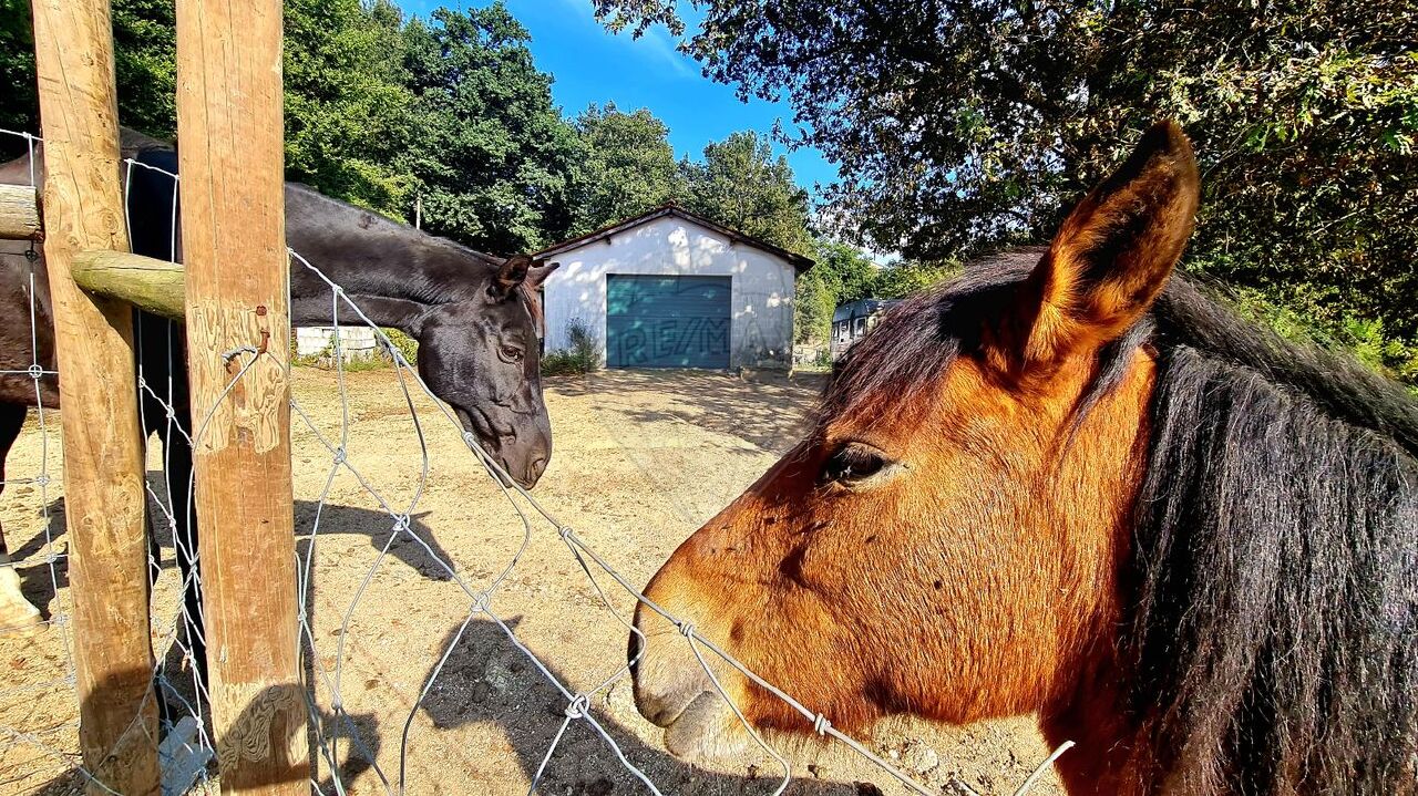 Quinta em Vieira do Minho, Braga