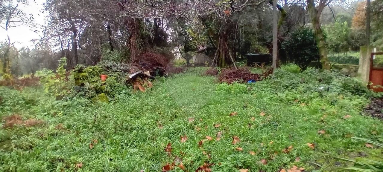 Plot / Land in Amares, Braga