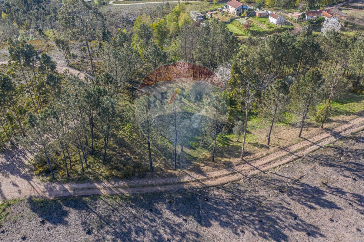 Plot / Land in Arca e Ponte de Lima, Ponte de Lima, Viana do Castelo