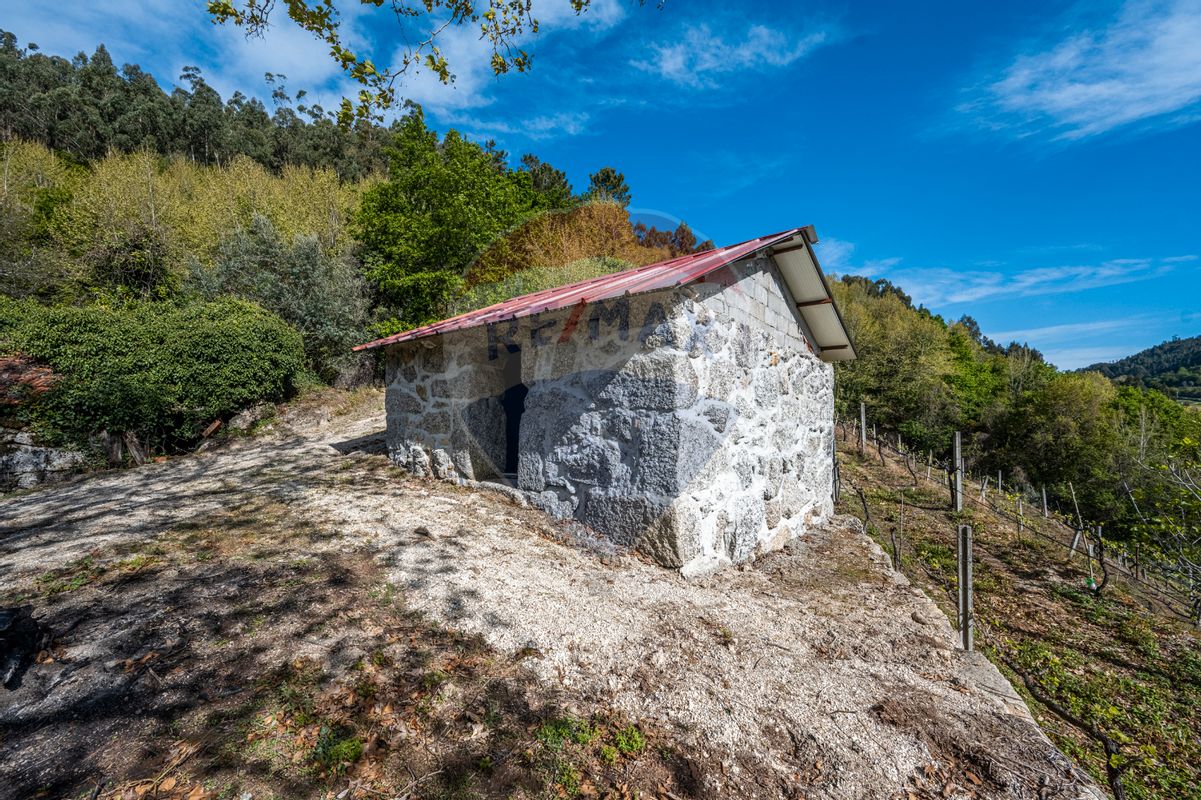 Plot / Land in União das freguesias de Carvalho e Basto (Santa Tecla), Celorico de Basto, Braga