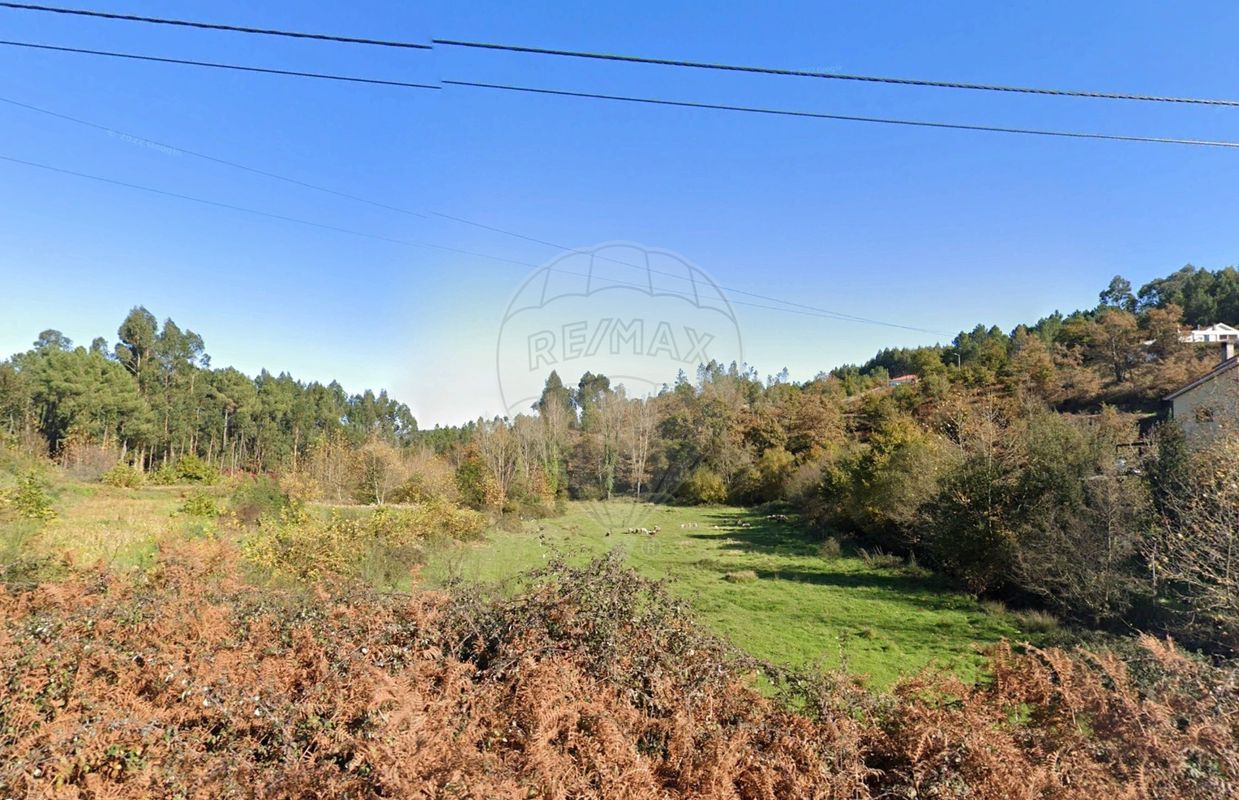 Plot / Land in União das freguesias de Carvalho e Basto (Santa Tecla), Celorico de Basto, Braga