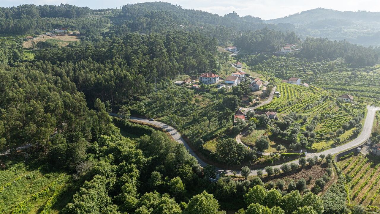 Plot / Land in União das freguesias de Carvalho e Basto (Santa Tecla), Celorico de Basto, Braga
