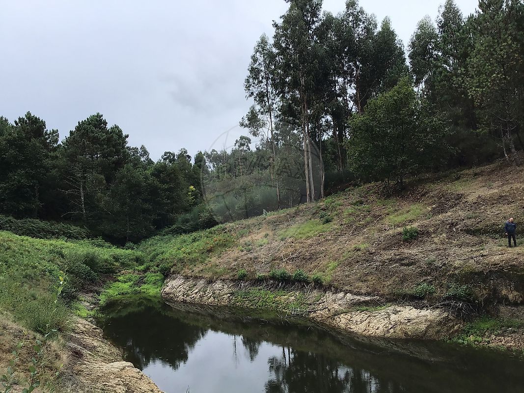 Plot / Land in União das freguesias de Carvalho e Basto (Santa Tecla), Celorico de Basto, Braga