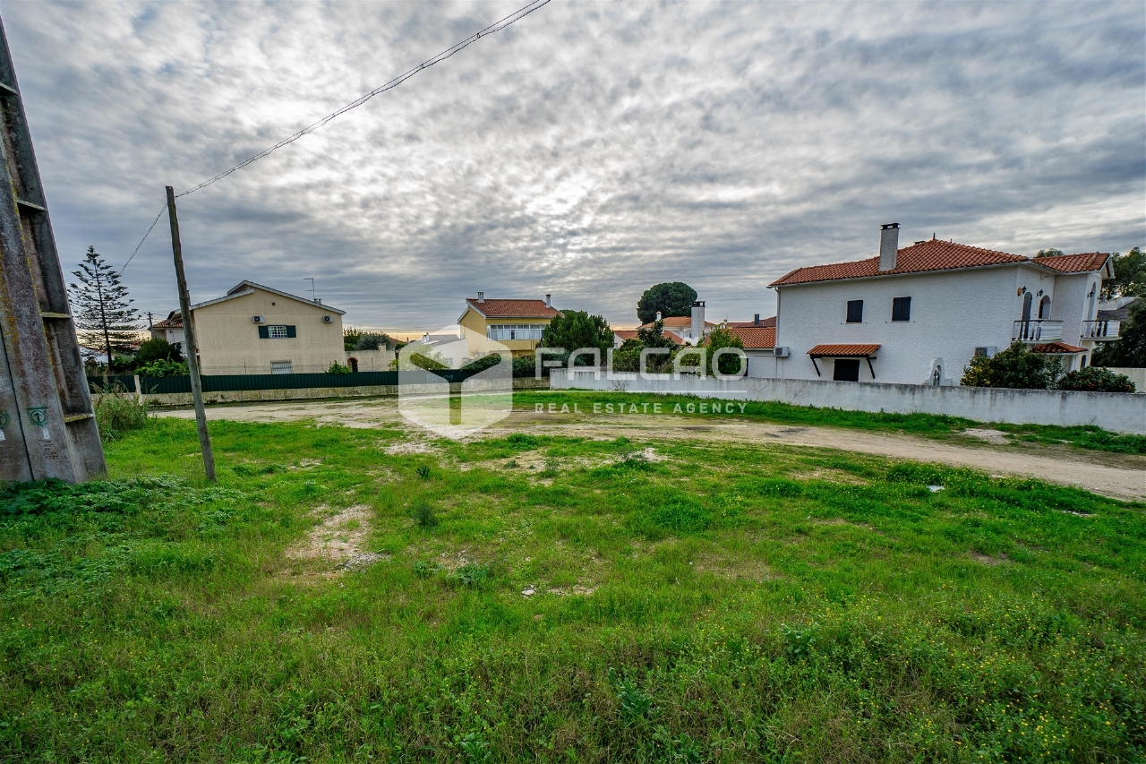 Plot / Land in Santarém