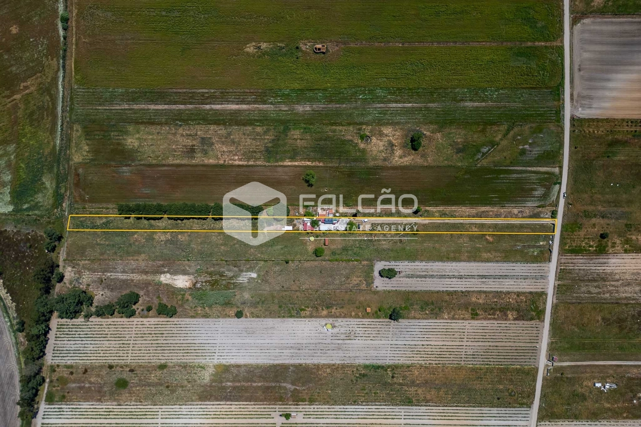 Plot / Land in Almeirim, Santarém