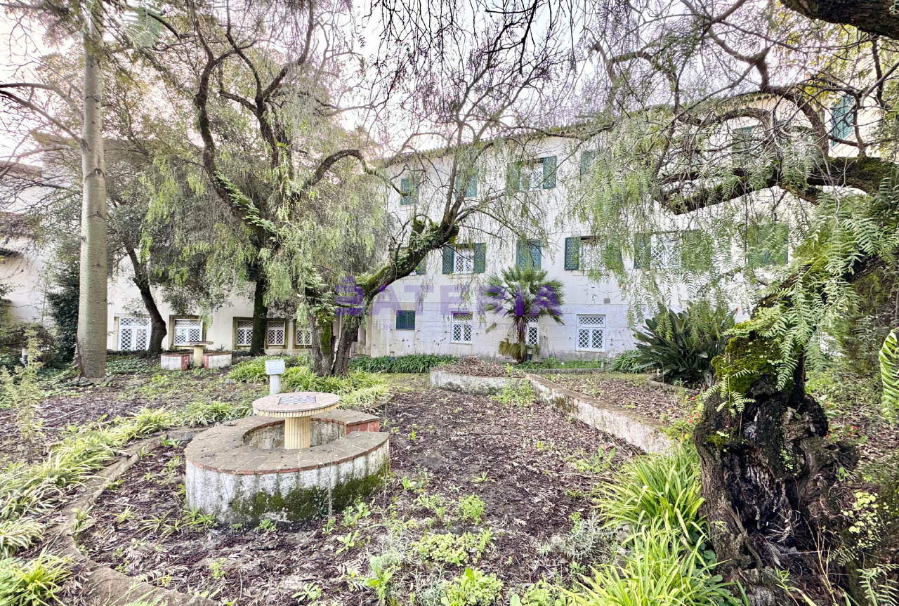 50 bed Apartment in Carnaxide, Oeiras, Lisboa